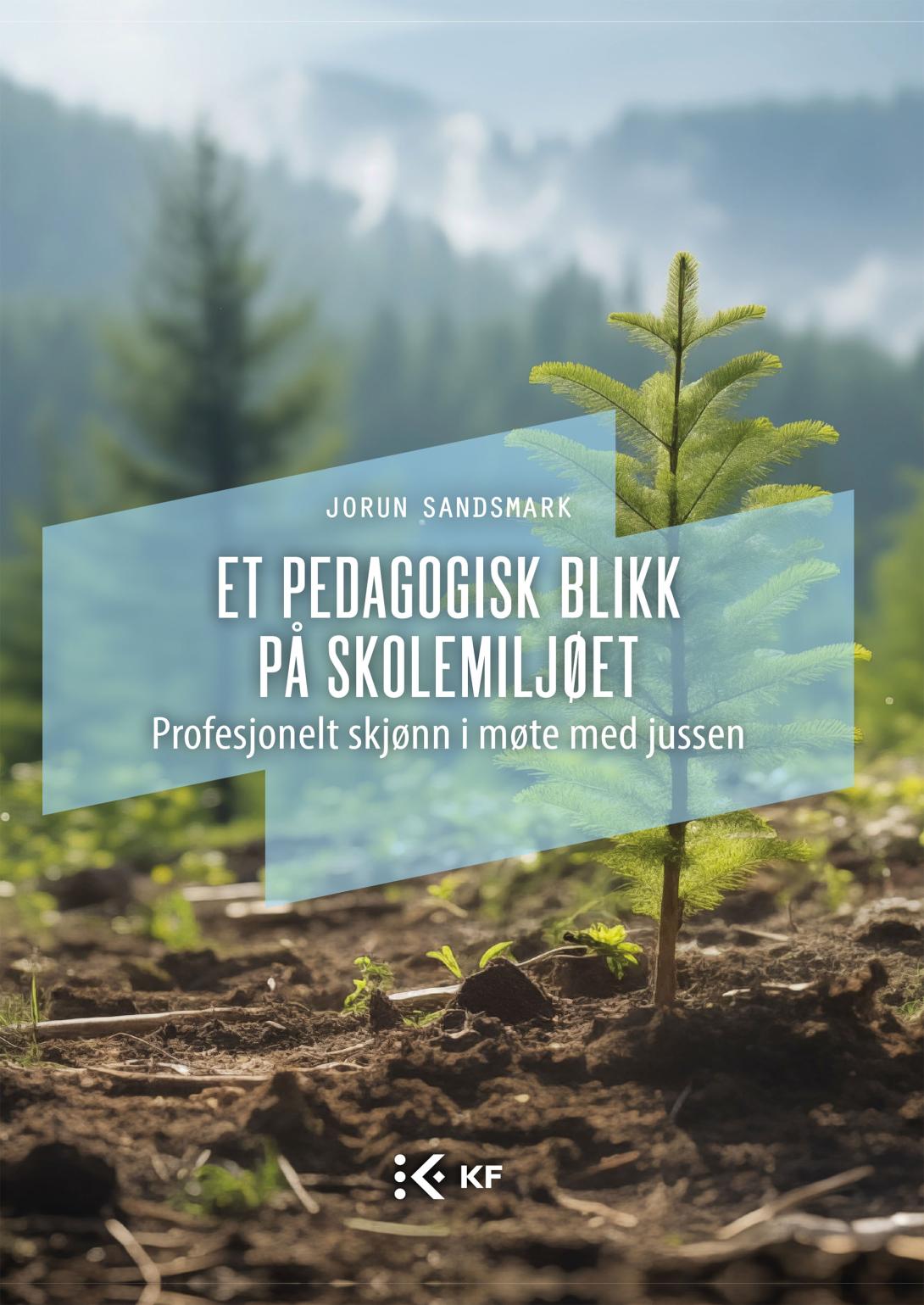 Et pedagogisk blikk på skolemiljøet